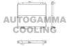 AUTOGAMMA 103825 Radiator, engine cooling